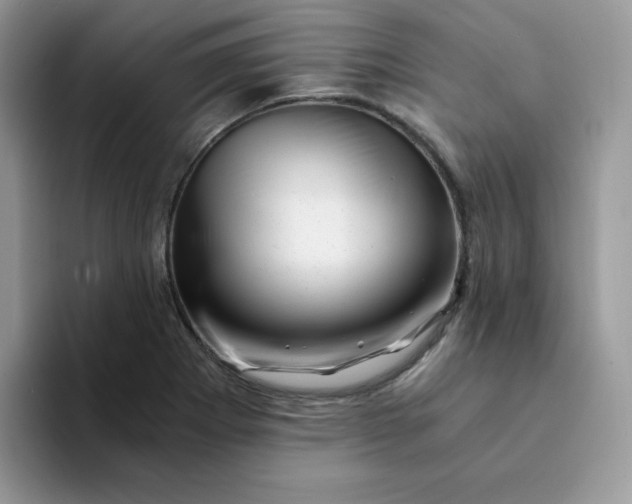 X0000094201273200711091212
