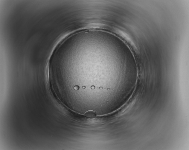 X0000094201275200711091212