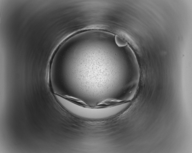 X0000094201276200711091212