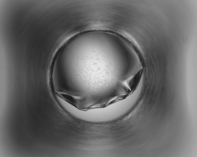 X0000094201277200711091212