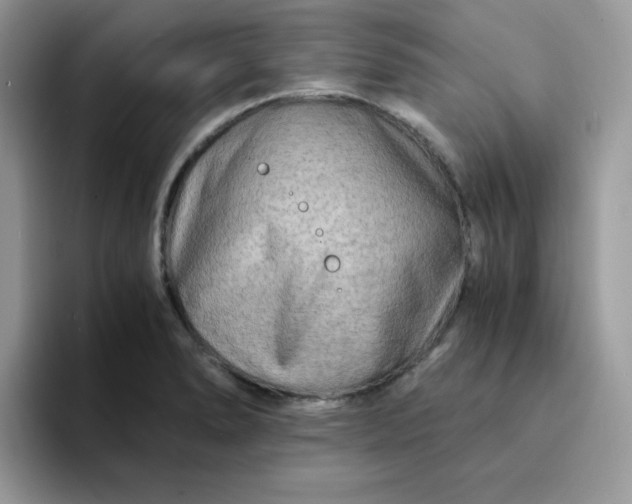 X0000094201278200711091212