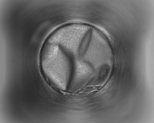 X0000094201279200711091212