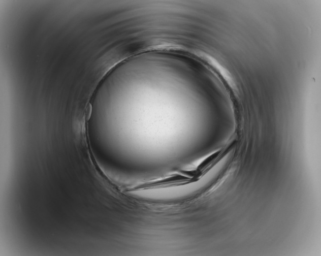 X0000094201281200711091212