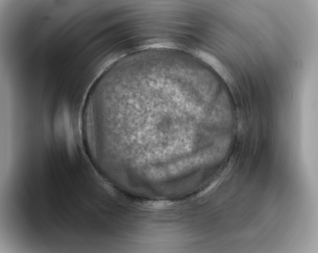 X0000094201282200711091212