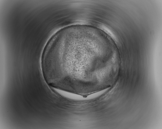 X0000094201283200711091212