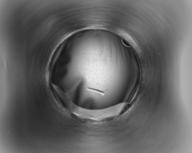 X0000094201284200711091212