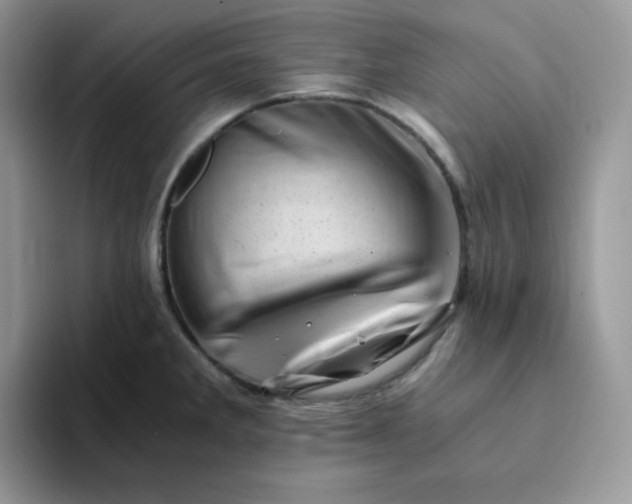 X0000094201285200711091212