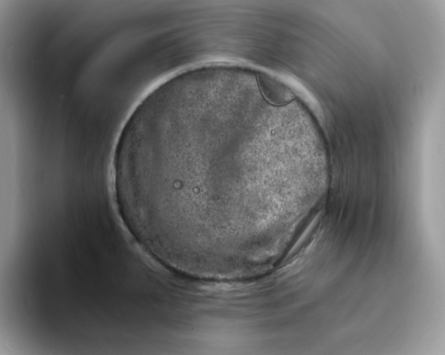 X0000094201287200711091212