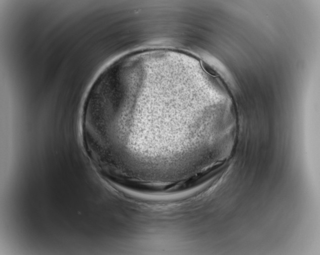 X0000094201288200711091212