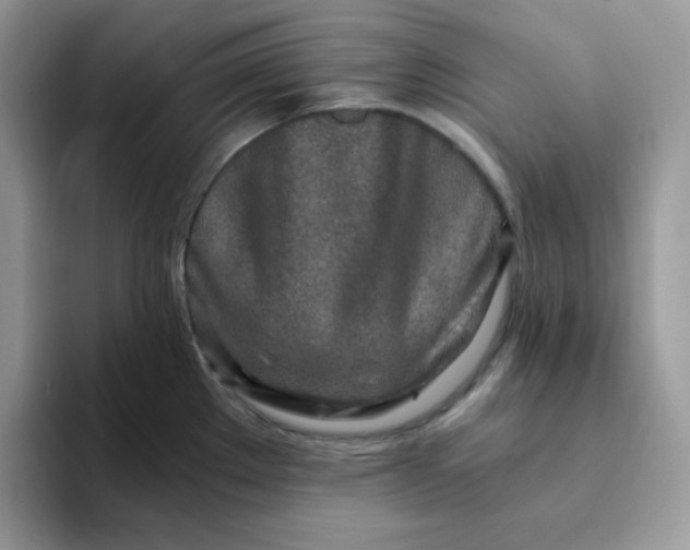 X0000094201289200711091212