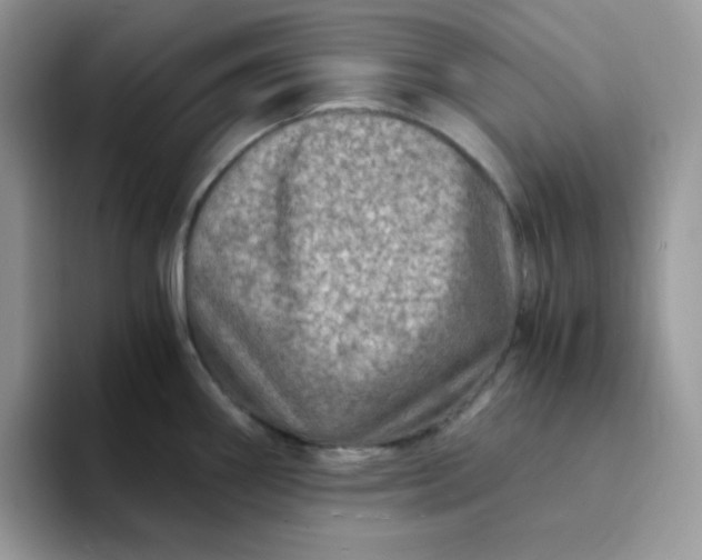 X0000094201290200711091212