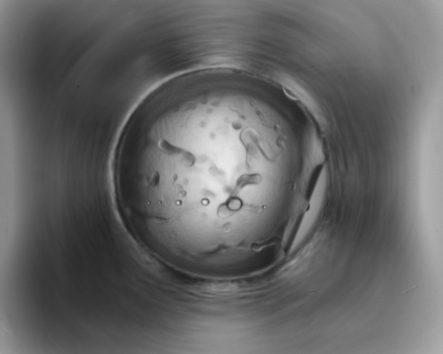 X0000094201291200711091212