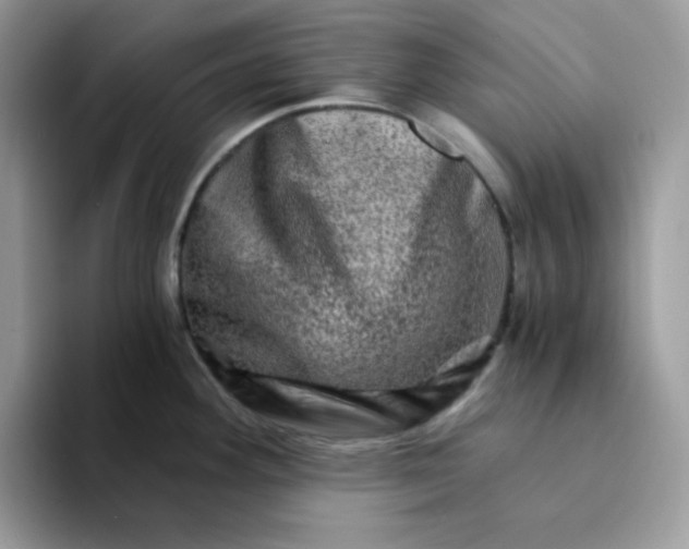 X0000094201292200711091212