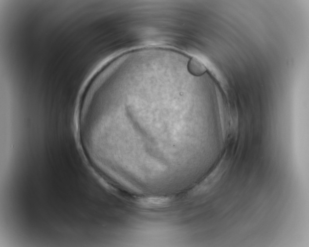 X0000094201294200711091212