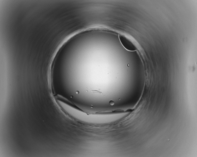 X0000094201295200711091212