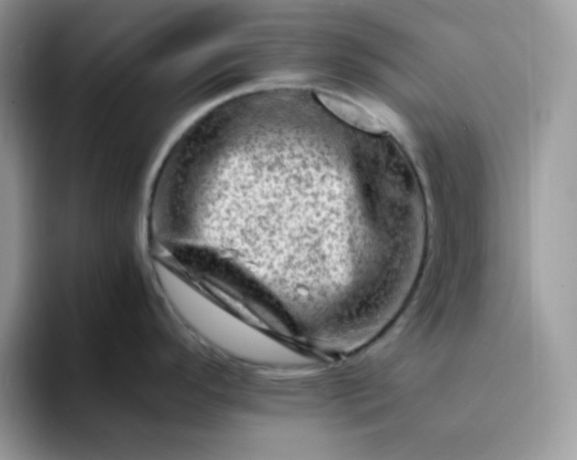 X0000094201296200711091212