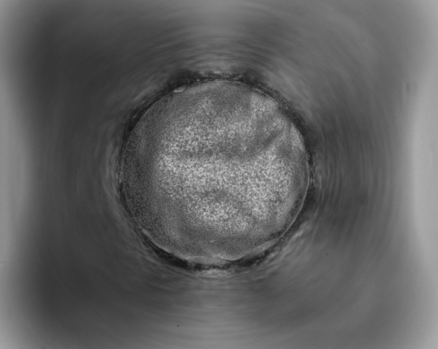 X0000094201297200711091212