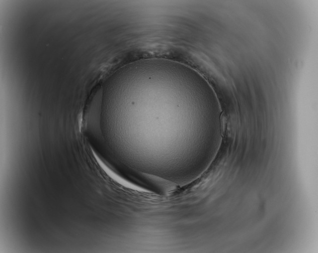 X0000094201298200711091212
