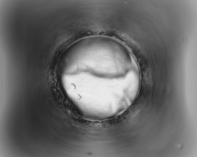 X0000094201302200711091212