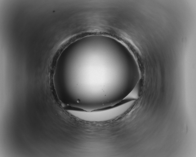 X0000094201304200711091212