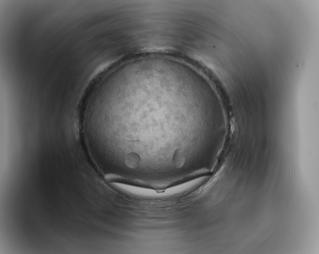 X0000094201306200711091212