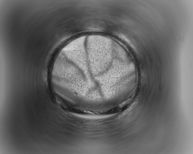X0000094201307200711091212