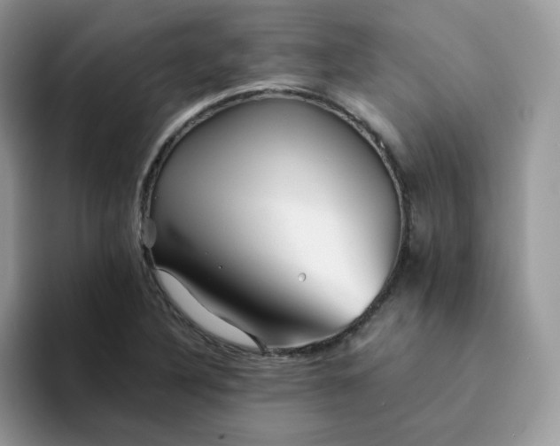 X0000094201316200711091212