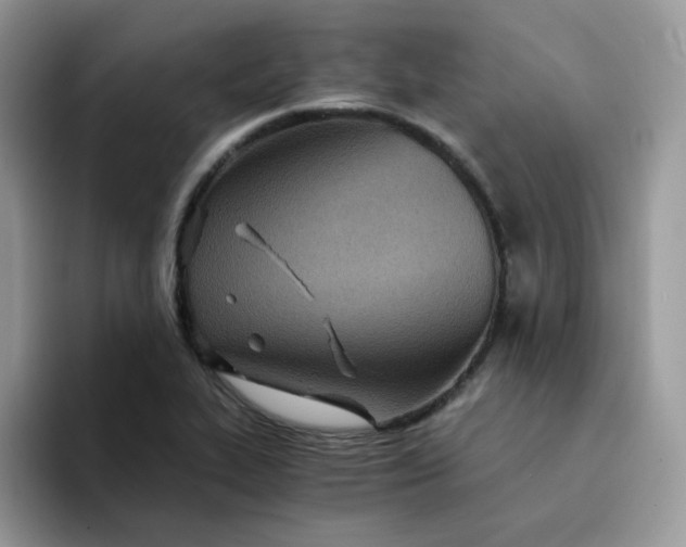 X0000094201319200711091212