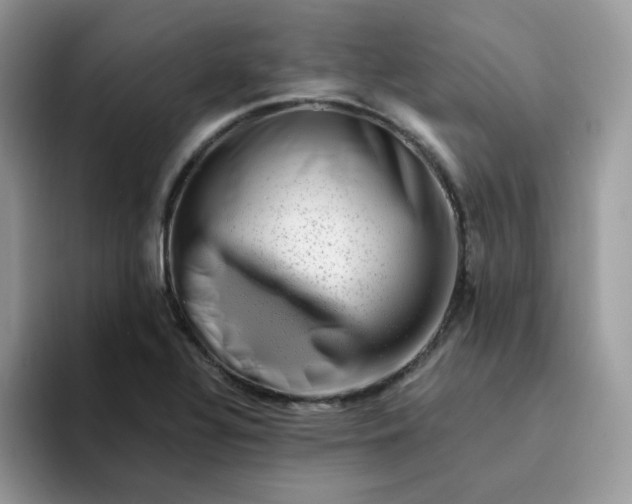 X0000094201320200711091212