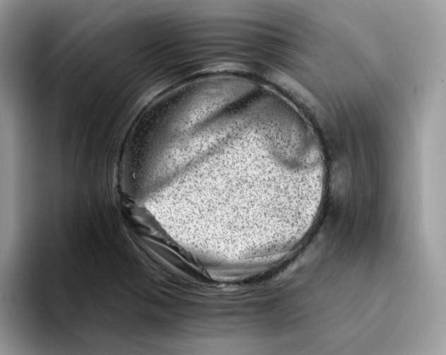 X0000094201321200711091212