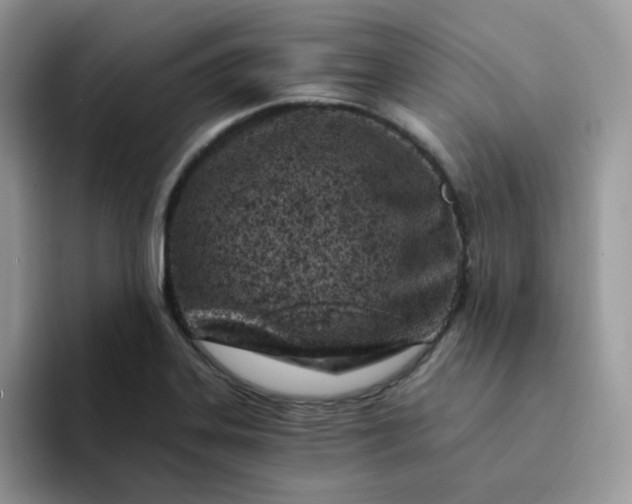 X0000094201323200711091212