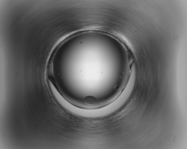 X0000094201324200711091212
