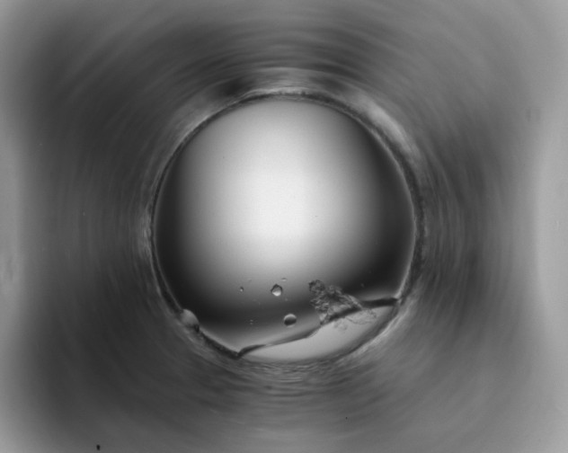 X0000094201329200711091212