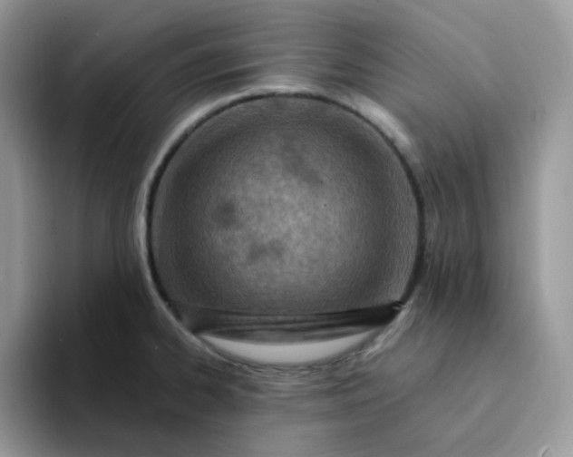 X0000094201334200711091212