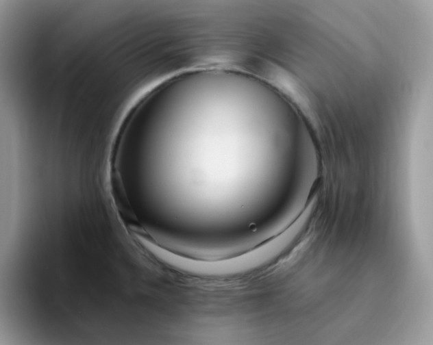 X0000094201336200711091212