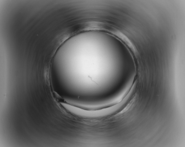X0000094201337200711091212
