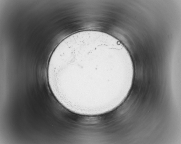 X0000094201338200711091212