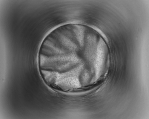 X0000094201343200711091212