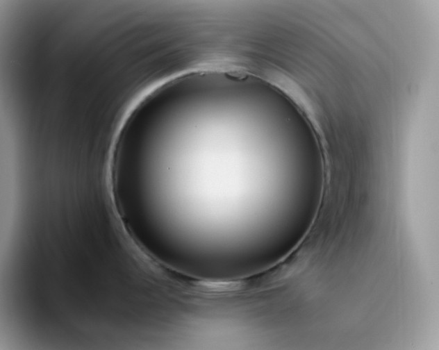 X0000094201344200711091212