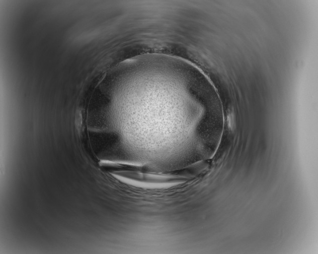 X0000094201347200711091212