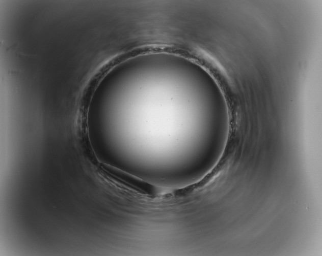 X0000094201352200711091212
