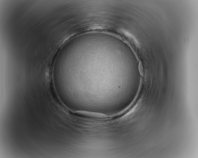 X0000094201353200711091212