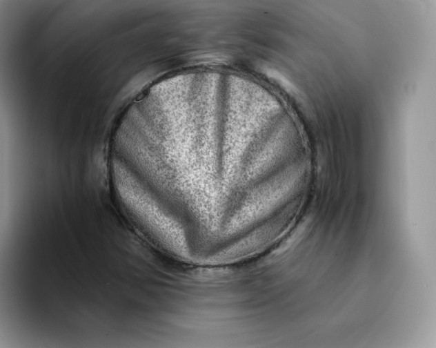 X0000094201354200711091212