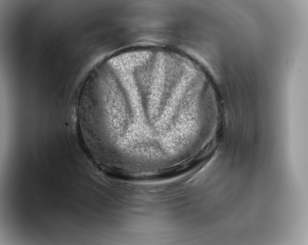 X0000094201355200711091212