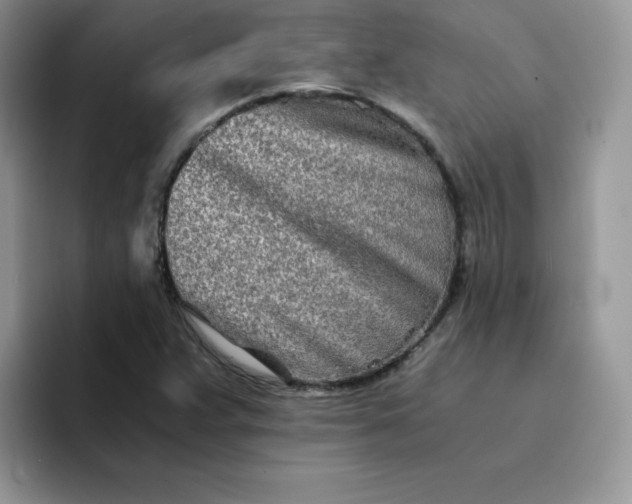 X0000094201359200711091211