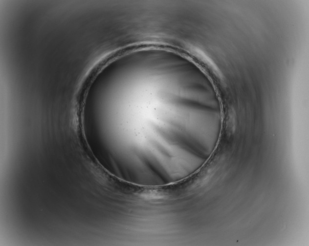 X0000094201360200711091211