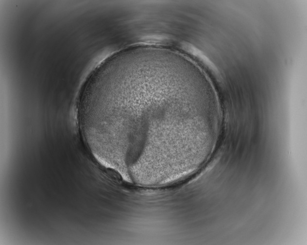X0000094201362200711091211