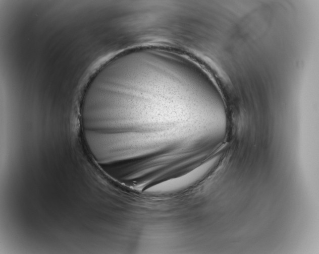X0000094201363200711091211
