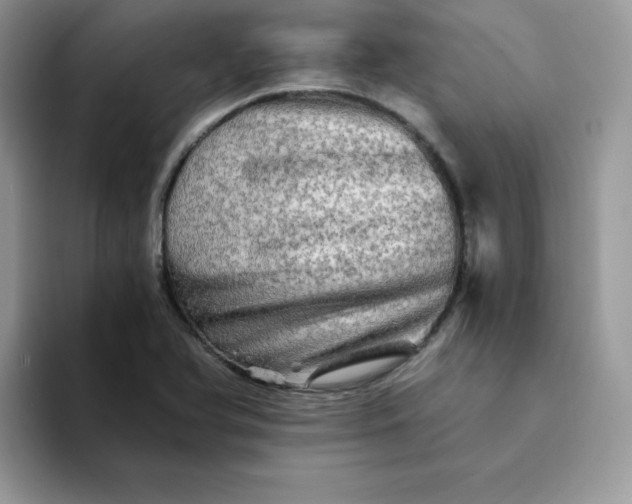 X0000094201366200711091211