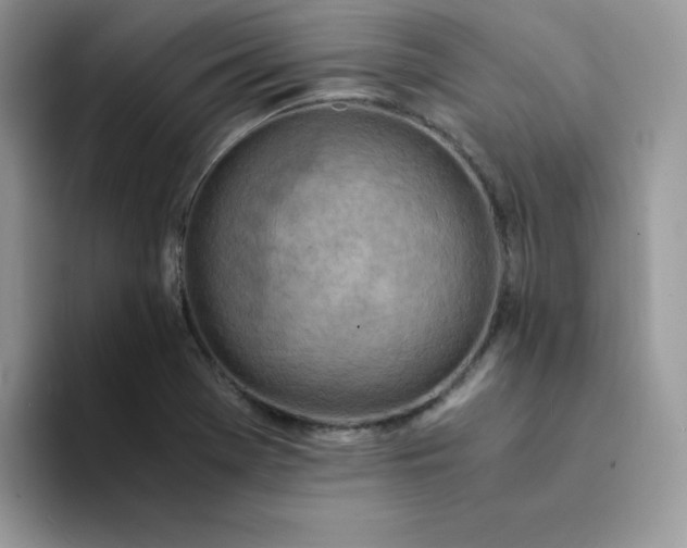 X0000094201369200711091211